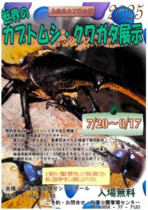 世界のカブトムシ・クワガタポスターのサムネイル