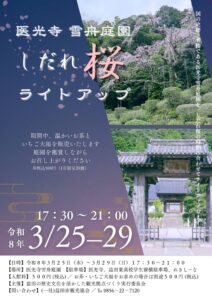 医光寺雪舟庭園 しだれ桜ライトアップのサムネイル